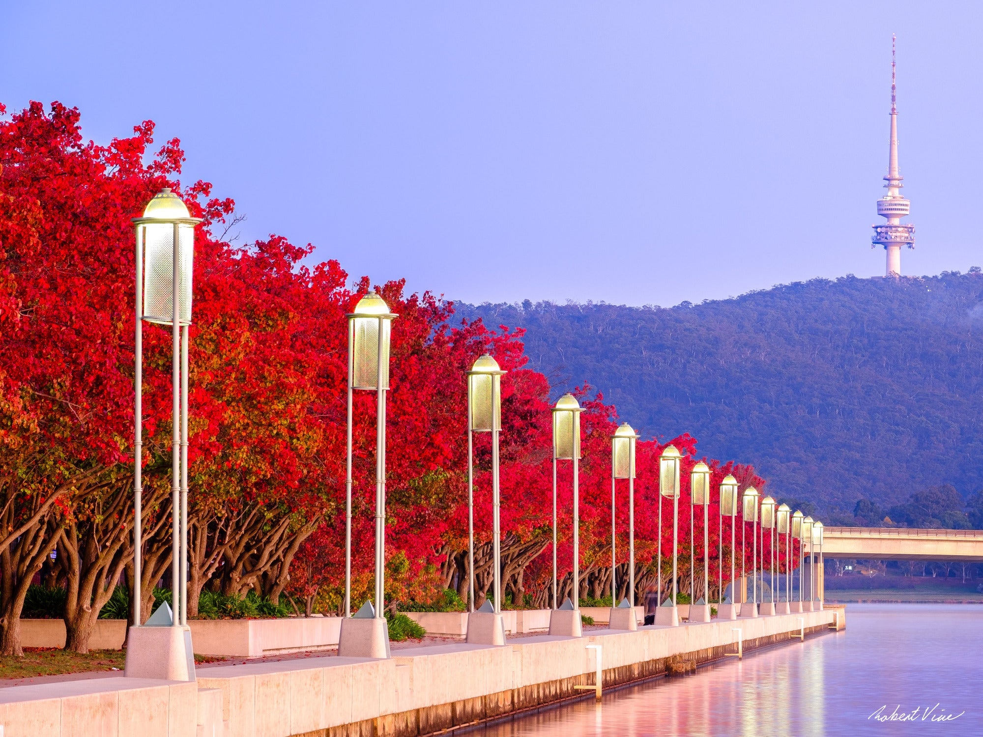Autumn in Canberra — A Season of Change