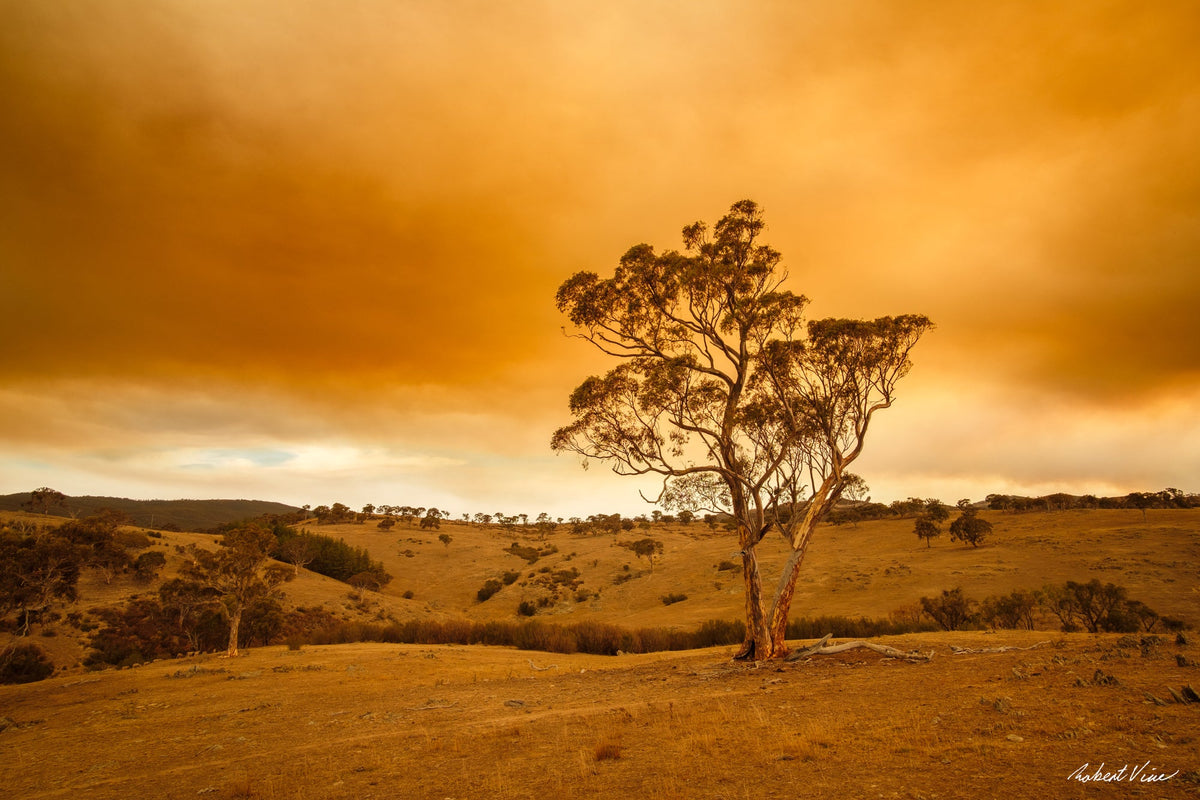 When the World Was Burning – The Story Behind Amber Skies, Googong