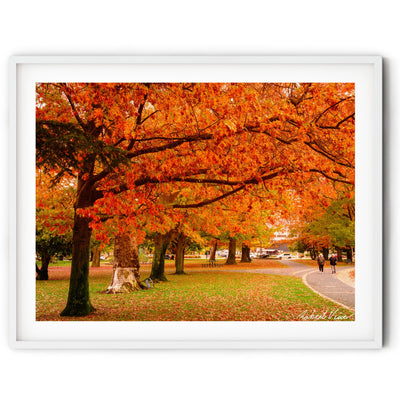 Queanbeyan
