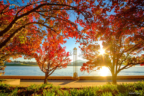 Autumn trees with vivid red and orange leaves frame the sunrise over Lake Burley Griffin in Canberra — fine art landscape photograph by Robert Vine.