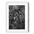 Black and white fine art photograph of a burnt tree’s textured bark at Tanilba Bay by Robert Vine