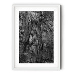 Black and white fine art photograph of a burnt tree’s textured bark at Tanilba Bay by Robert Vine