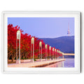 Autumn red trees along Lake Burley Griffin with glowing streetlights and Telstra Tower on Black Mountain in Canberra — vibrant Australian landscape wall art.