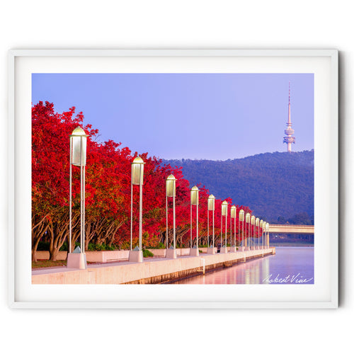 Autumn red trees along Lake Burley Griffin with glowing streetlights and Telstra Tower on Black Mountain in Canberra — vibrant Australian landscape wall art.
