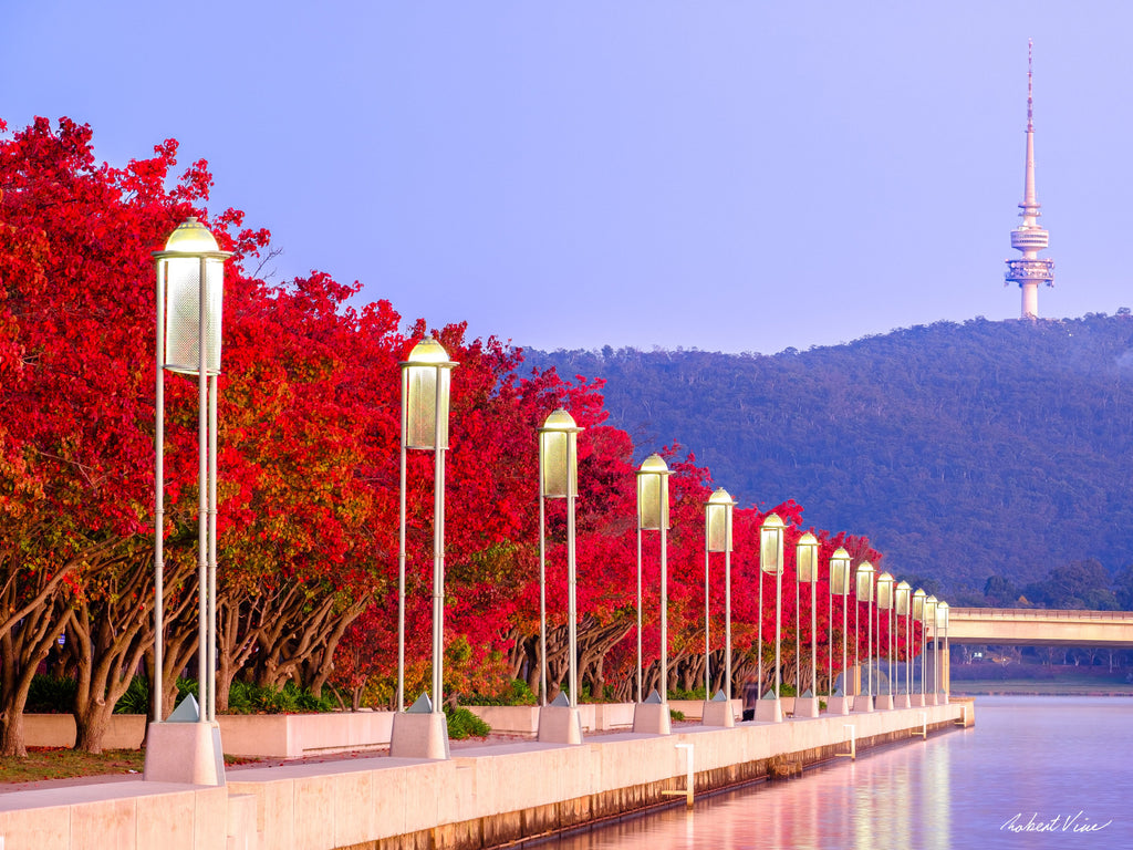 Autumn red trees along Lake Burley Griffin with glowing streetlights and Telstra Tower on Black Mountain in Canberra — vibrant Australian landscape wall art.