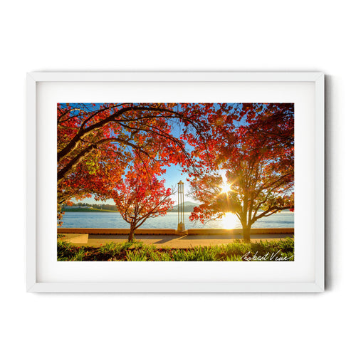 Autumn trees with vivid red and orange leaves frame the sunrise over Lake Burley Griffin in Canberra — fine art landscape photograph by Robert Vine.