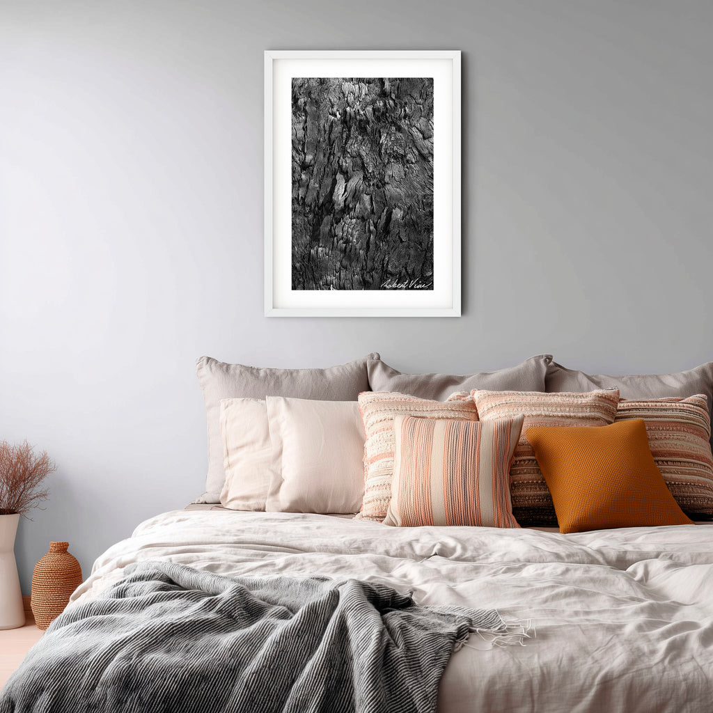 After the Fire, Tanilba Bay – Limited Edition Framed Print