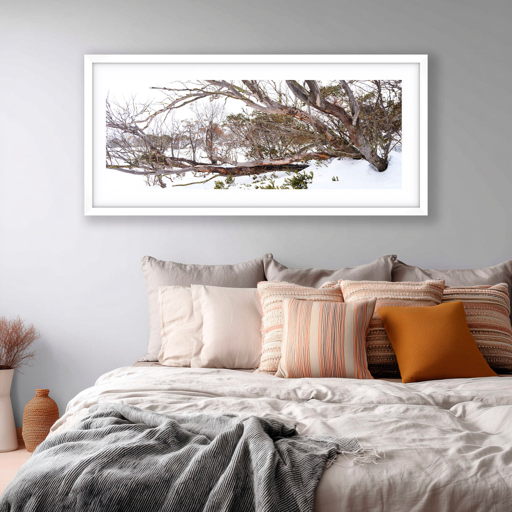 Snow Gum Tapestry – Perisher | Limited Edition Framed Landscape Print by Robert Vine