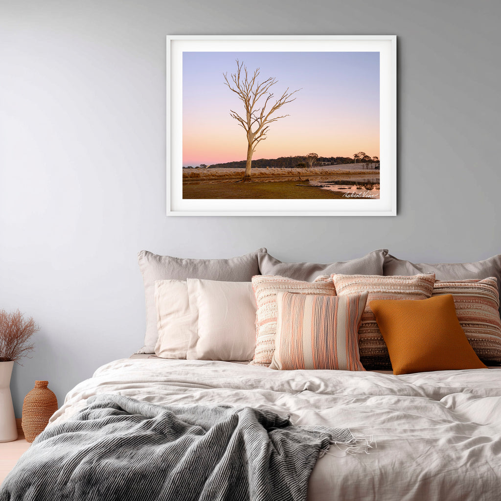 Winter Sentinel — Mulligans Flat Wetlands Limited Edition Framed Print