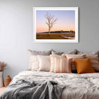 Winter Sentinel — Mulligans Flat Wetlands Limited Edition Framed Print