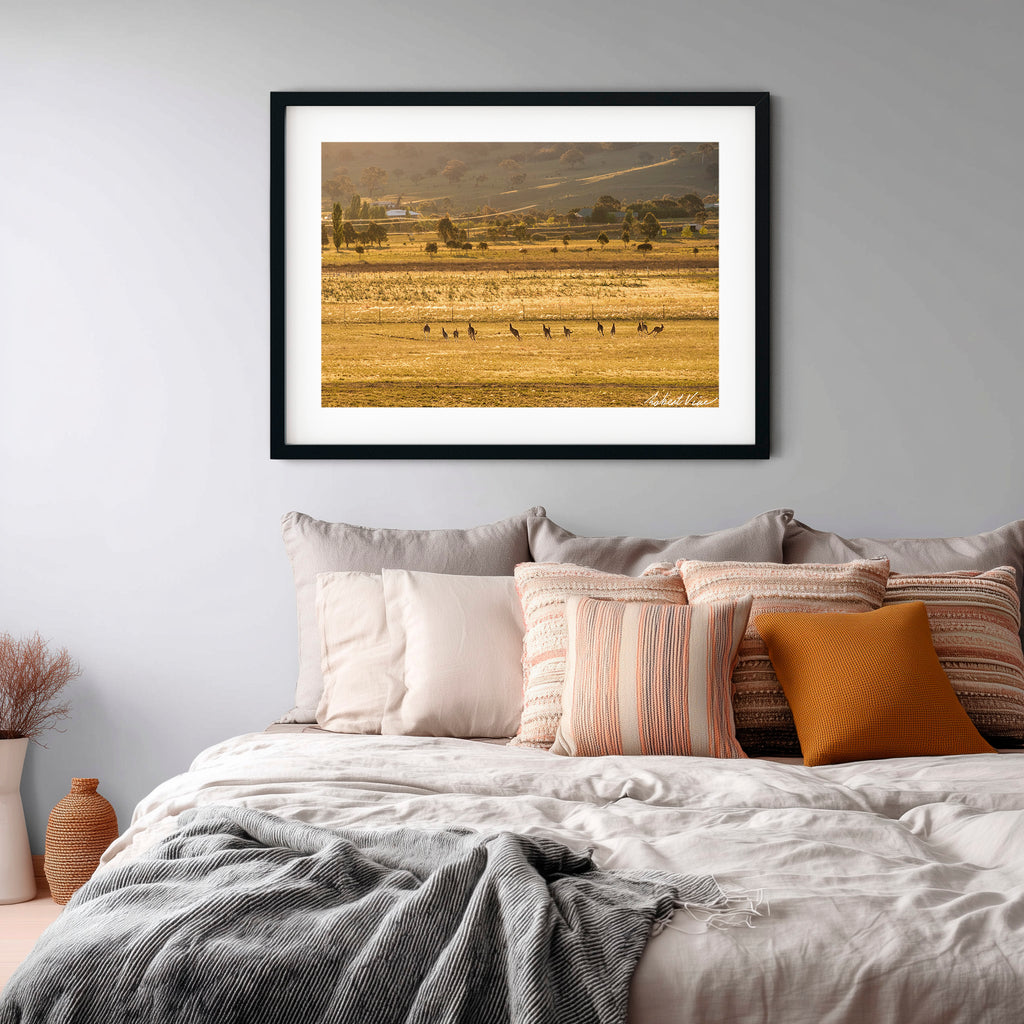 Golden Run — Googong at Sunset | Limited Edition Framed Art Print