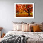Autumn Glow in Canberra – Majestic Maple Trees Landscape Art By Robert Vine