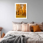 Autumn Sentinel | Limited Edition Framed Print of Queanbeyan