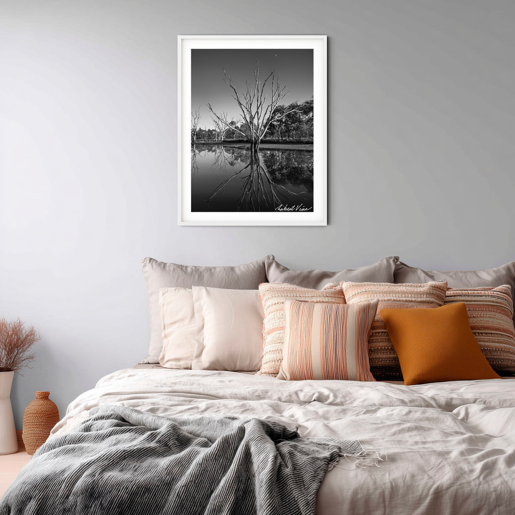 Reflections of Silence – Mulligans Flat Wetlands Limited Edition Framed Print