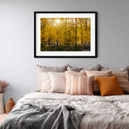 Golden Canopy | Limited Edition Framed Autumn Print of Queanbeyan