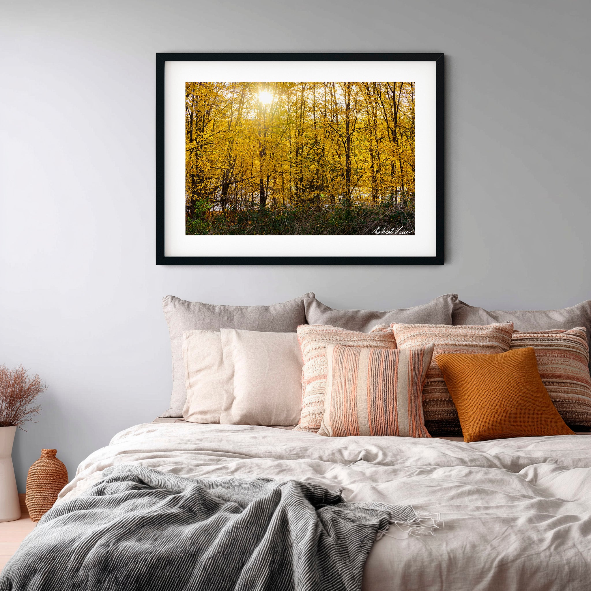 Golden Canopy | Limited Edition Framed Autumn Print of Queanbeyan
