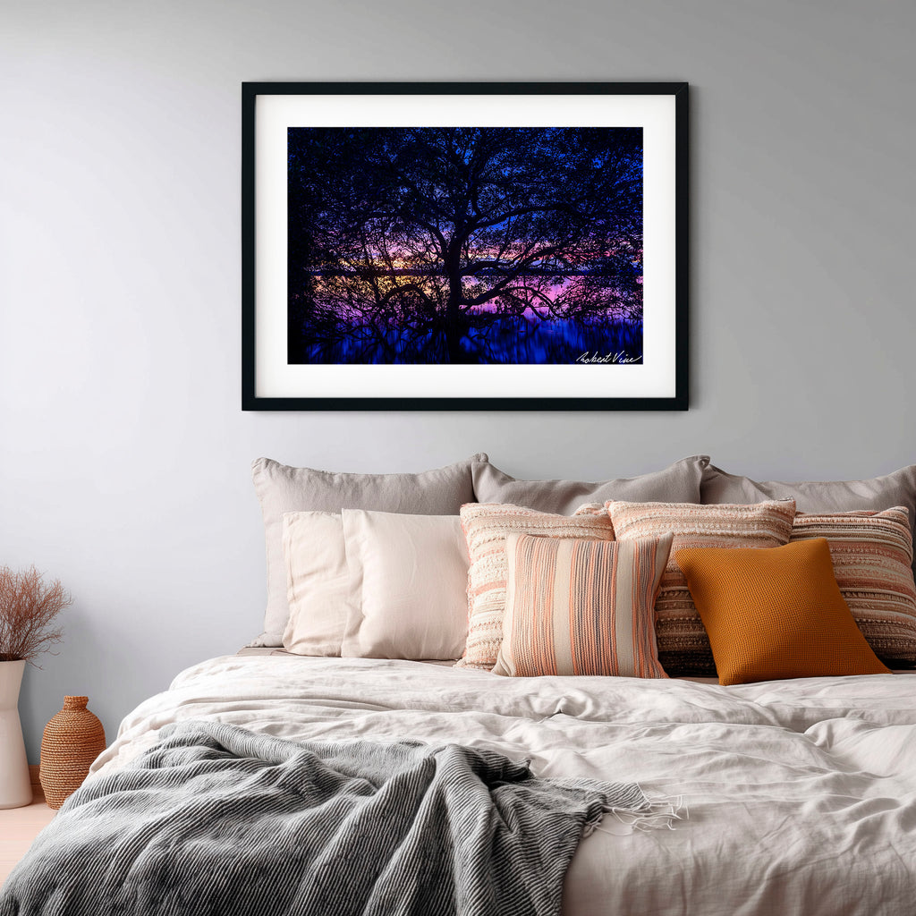 Twilight Mangrove, Lemon Tree Passage – Limited Edition Framed Print