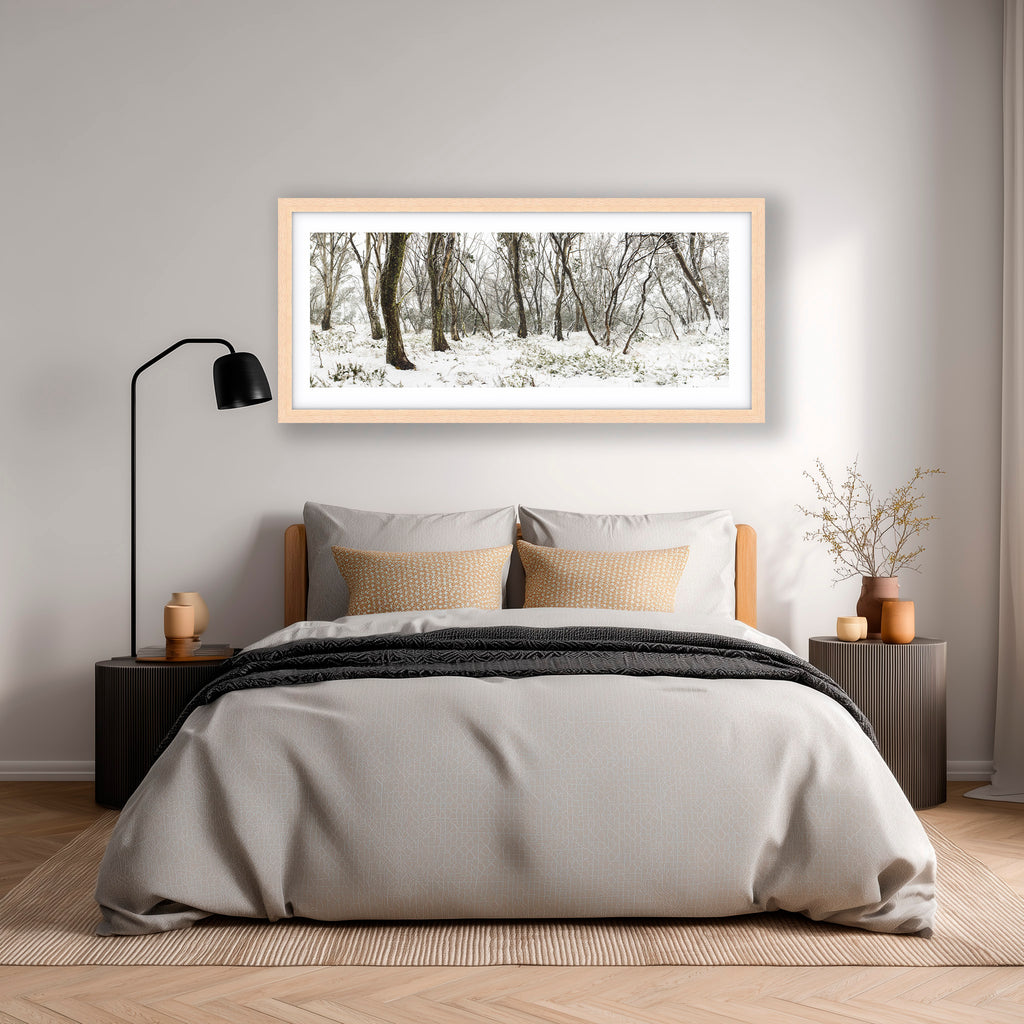 Snow Gums in Winter — Australian Alpine Landscape Photography by Robert Vine | Fine Art Print