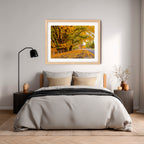 Autumn Boulevard | Limited Edition Framed Print of Queanbeyan