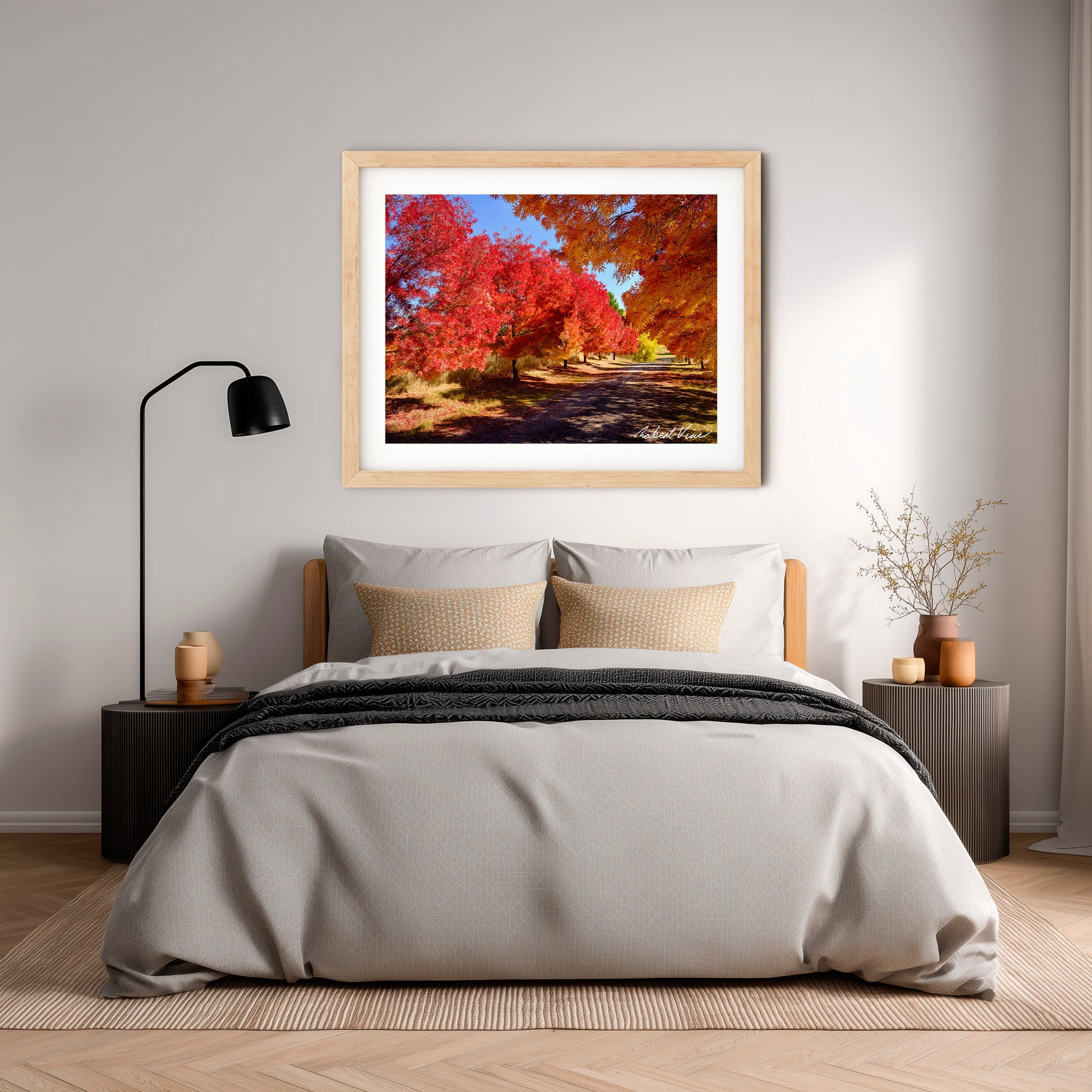 Crimson Avenue | Limited Edition Framed Autumn Print of Queanbeyan