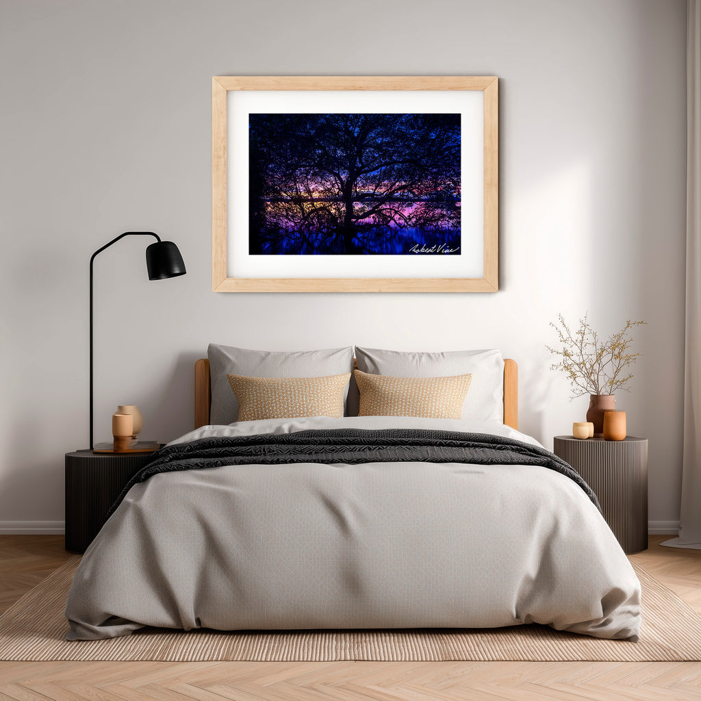 Twilight Mangrove, Lemon Tree Passage – Limited Edition Framed Print