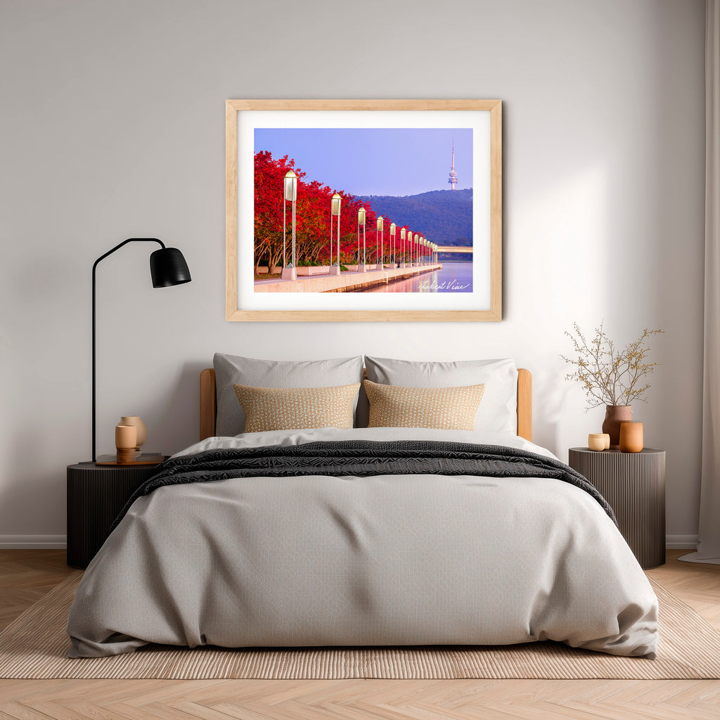 Autumn Colour at Lake Burley Griffin – Canberra Red Trees & Telstra Tower Fine Art Print by Robert Vine