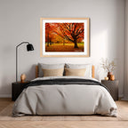 Autumn Glow in Canberra – Majestic Maple Trees Landscape Art By Robert Vine