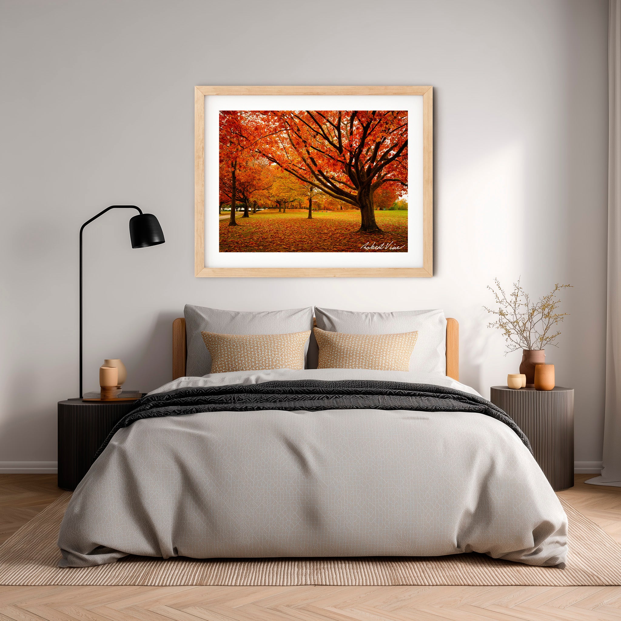 Autumn Glow in Canberra – Majestic Maple Trees Landscape Art By Robert Vine