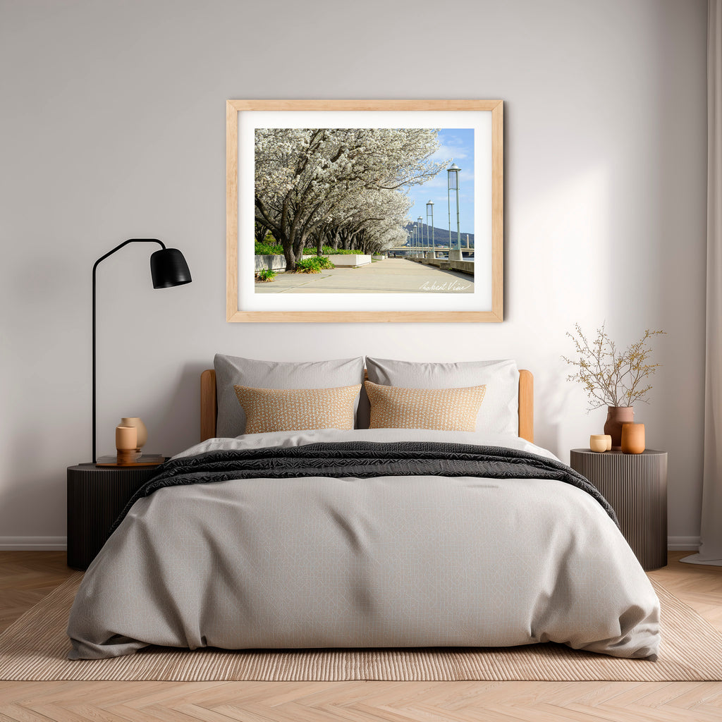 Blossoms Along the Lake – Limited Edition Framed Art Print