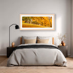 Golden Moments | Limited Edition Framed Autumn Print of Queanbeyan