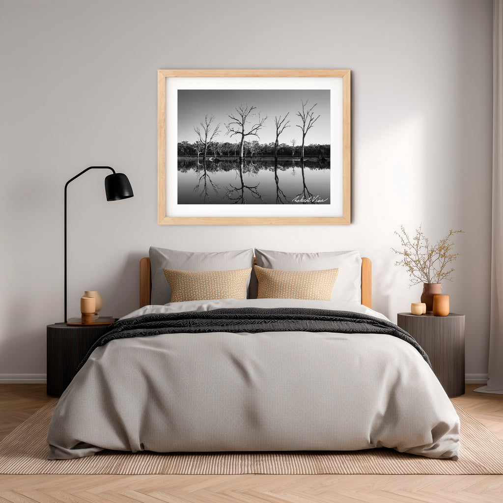 Silent Reflections – Mulligans Flat Wetlands Limited Edition Framed Art Print