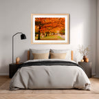Crimson Canopy | Limited Edition Framed Print of Queanbeyan Park