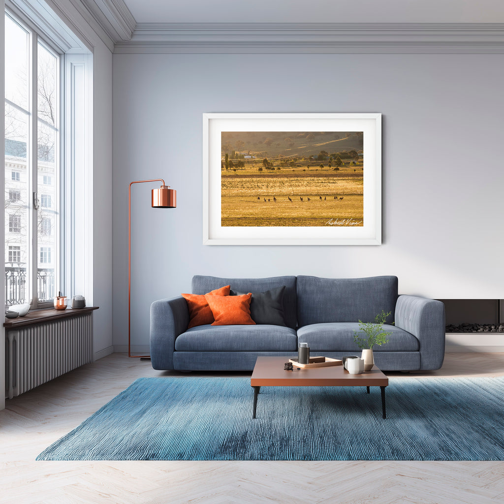 Golden Run — Googong at Sunset | Limited Edition Framed Art Print