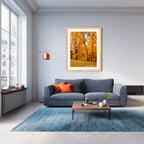 Autumn Sentinel | Limited Edition Framed Print of Queanbeyan