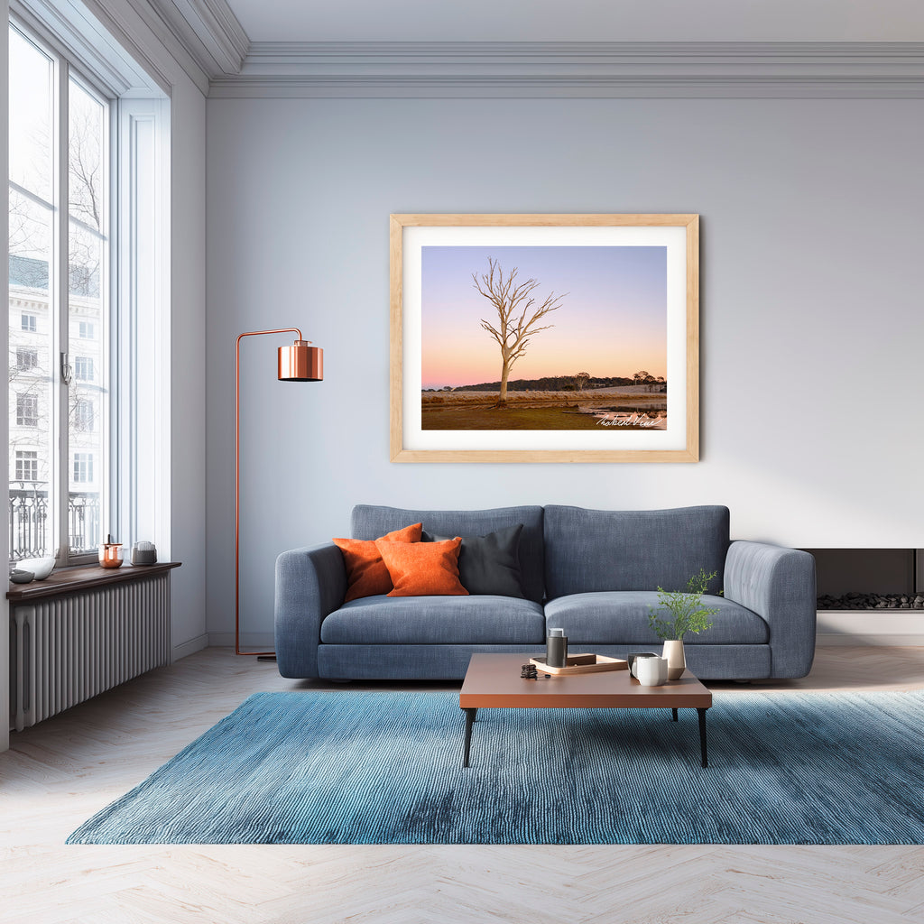 Winter Sentinel — Mulligans Flat Wetlands Limited Edition Framed Print