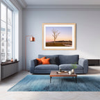 Winter Sentinel — Mulligans Flat Wetlands Limited Edition Framed Print