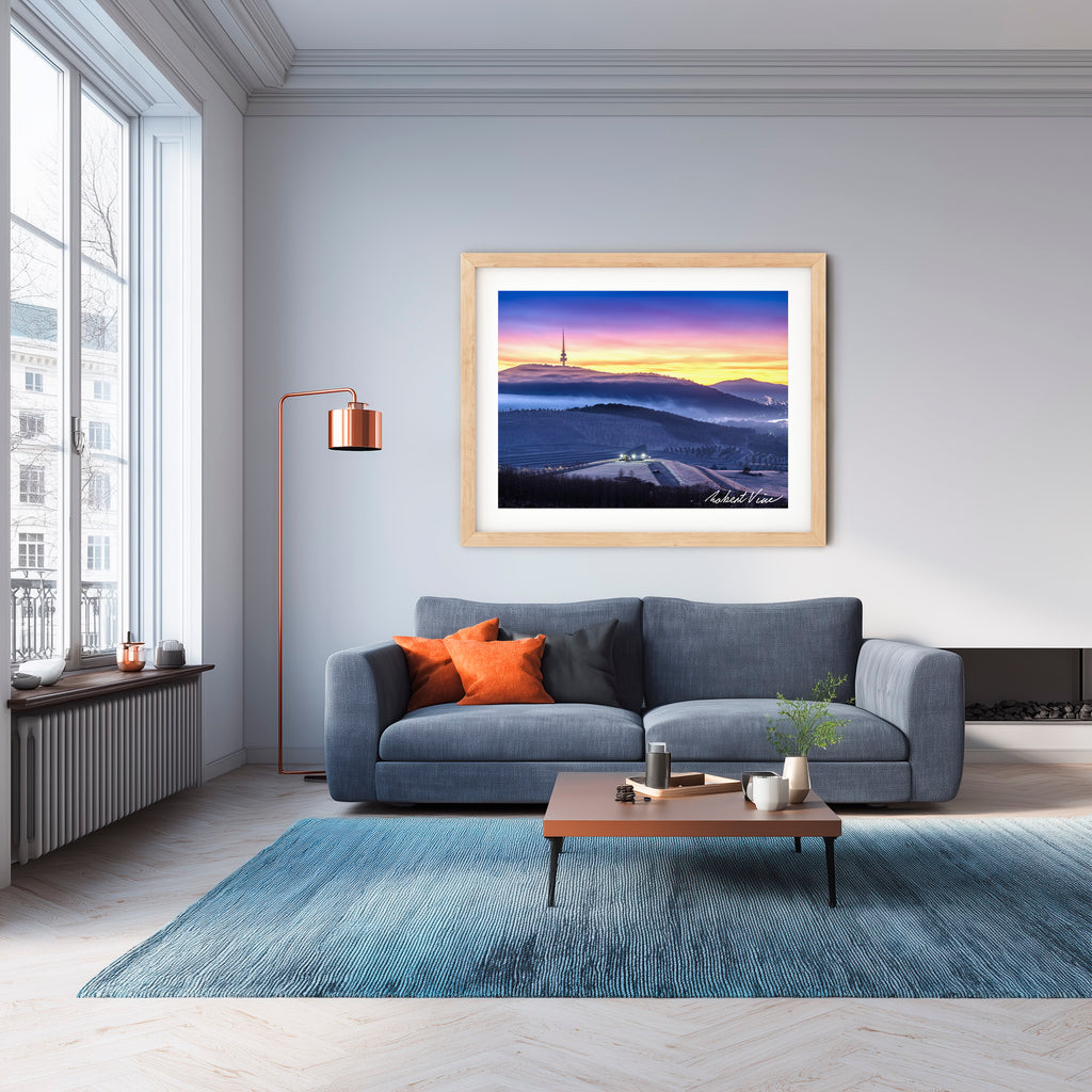 Winter Veil Over the Arboretum – Limited Edition Framed Print