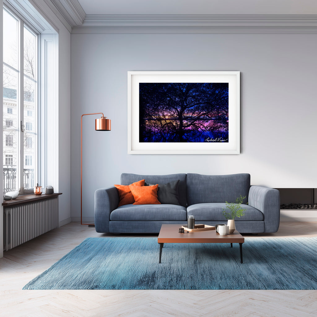 Twilight Mangrove, Lemon Tree Passage – Limited Edition Framed Print
