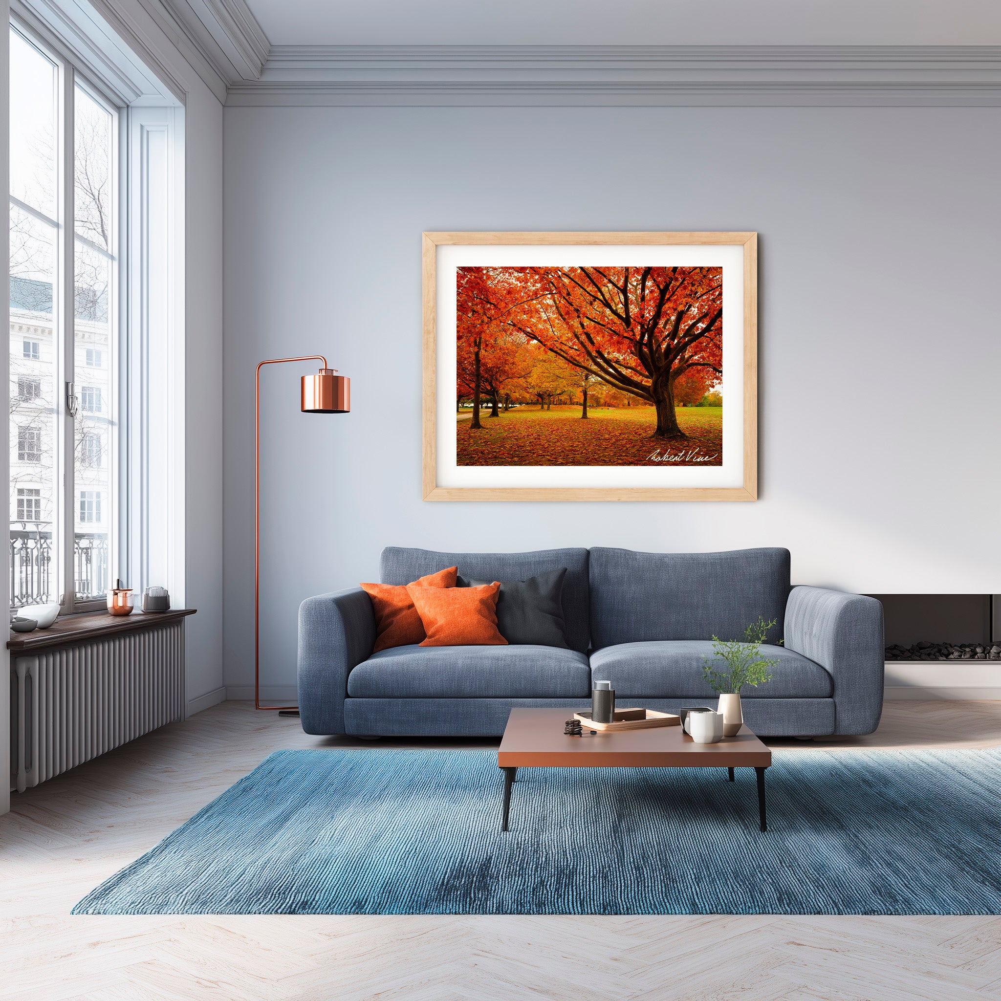 Autumn Glow in Canberra – Majestic Maple Trees Landscape Art By Robert Vine