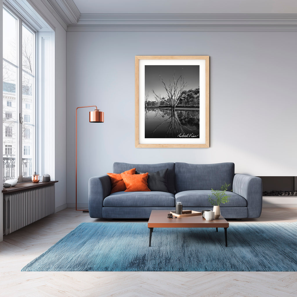 Reflections of Silence – Mulligans Flat Wetlands Limited Edition Framed Print