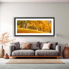 Golden Moments | Limited Edition Framed Autumn Print of Queanbeyan