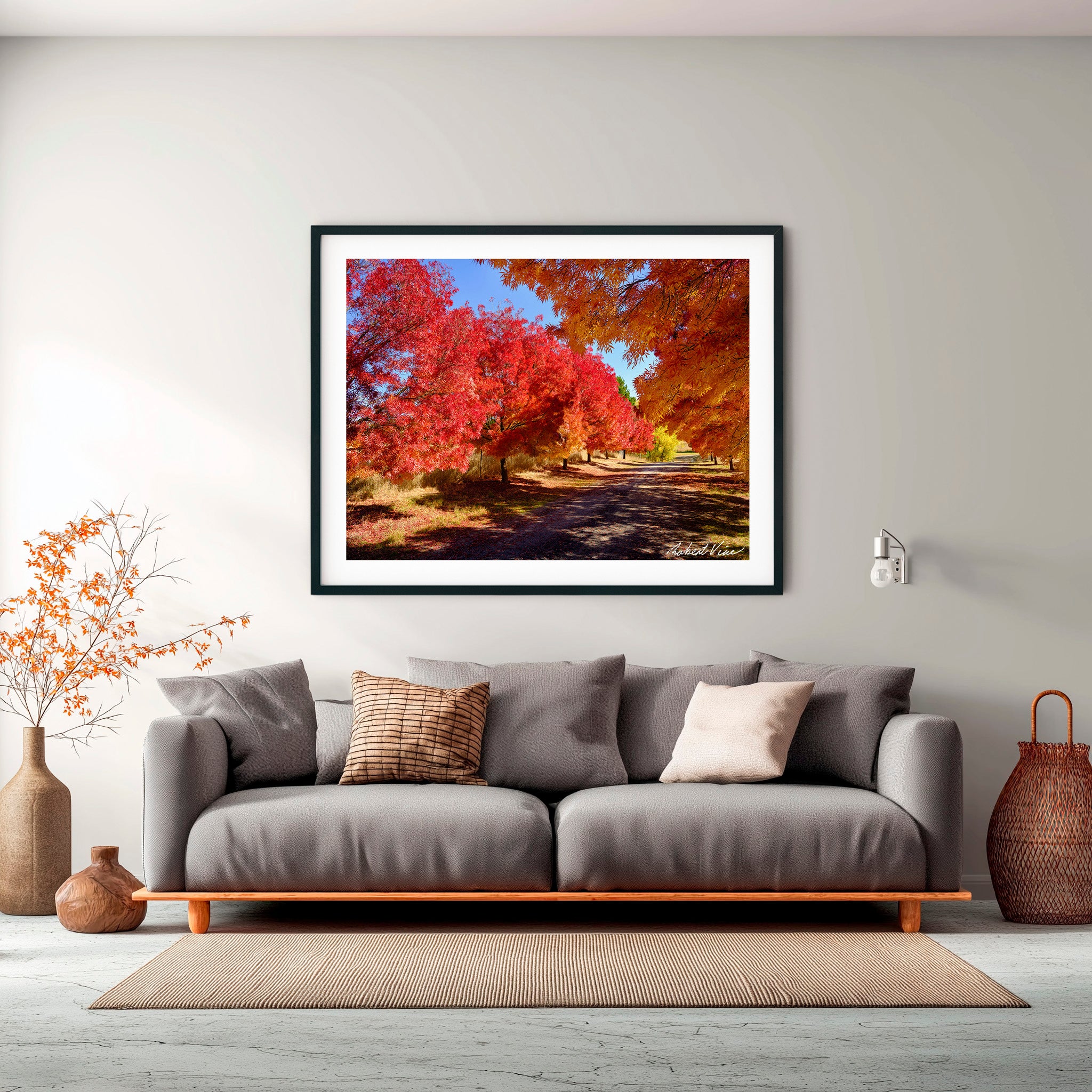 Crimson Avenue | Limited Edition Framed Autumn Print of Queanbeyan
