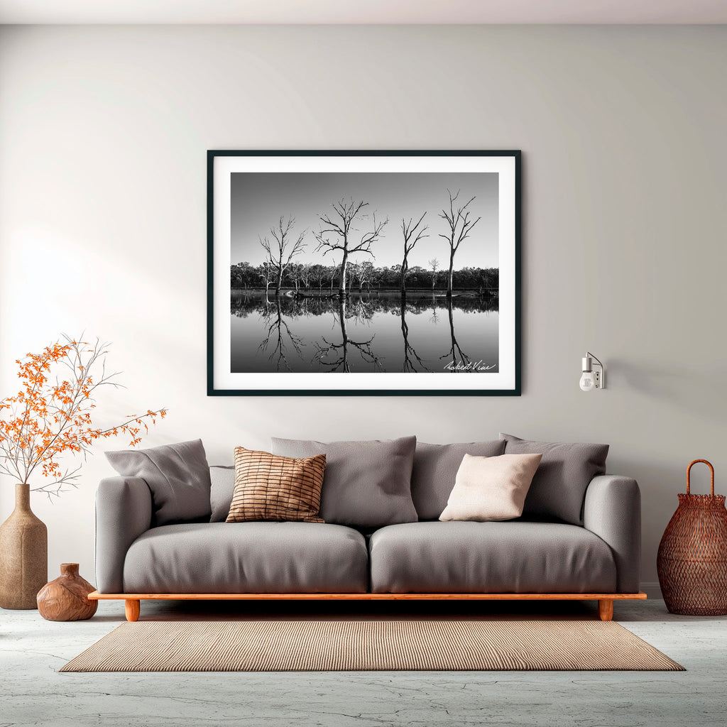 Silent Reflections – Mulligans Flat Wetlands Limited Edition Framed Art Print