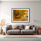 Autumn Boulevard | Limited Edition Framed Print of Queanbeyan