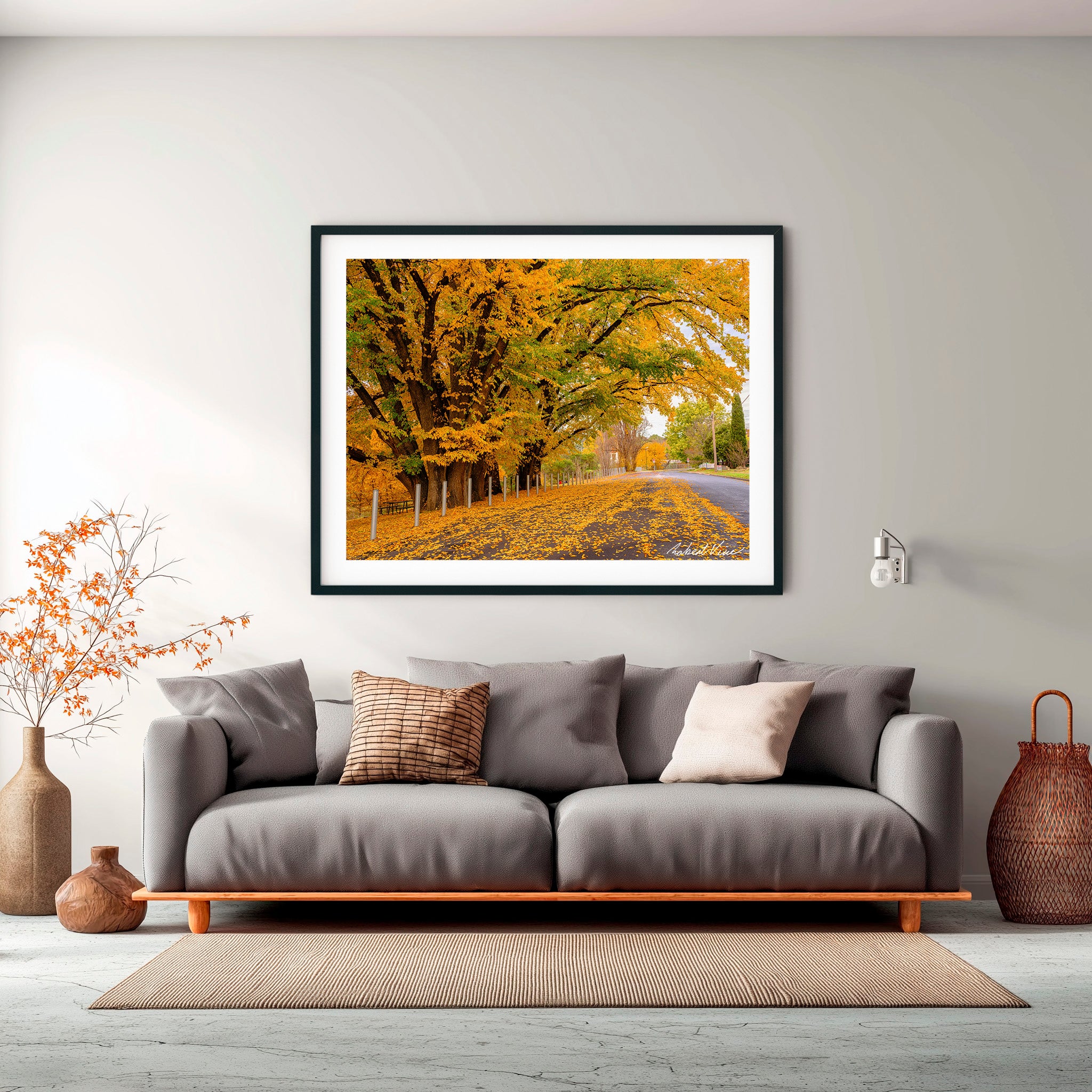 Autumn Boulevard | Limited Edition Framed Print of Queanbeyan