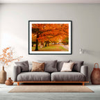 Crimson Canopy | Limited Edition Framed Print of Queanbeyan Park