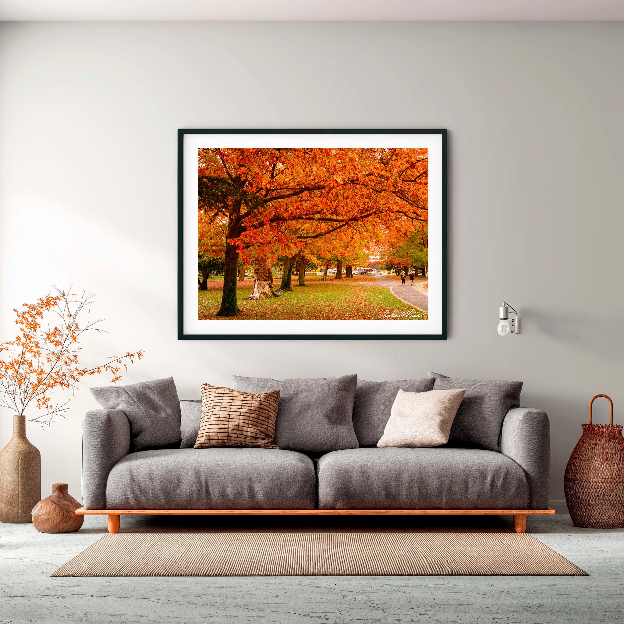 Crimson Canopy | Limited Edition Framed Print of Queanbeyan Park
