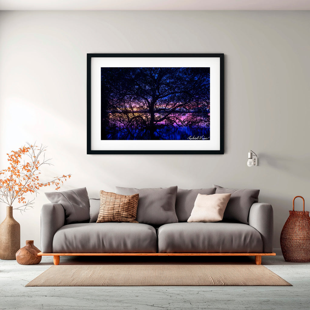 Twilight Mangrove, Lemon Tree Passage – Limited Edition Framed Print