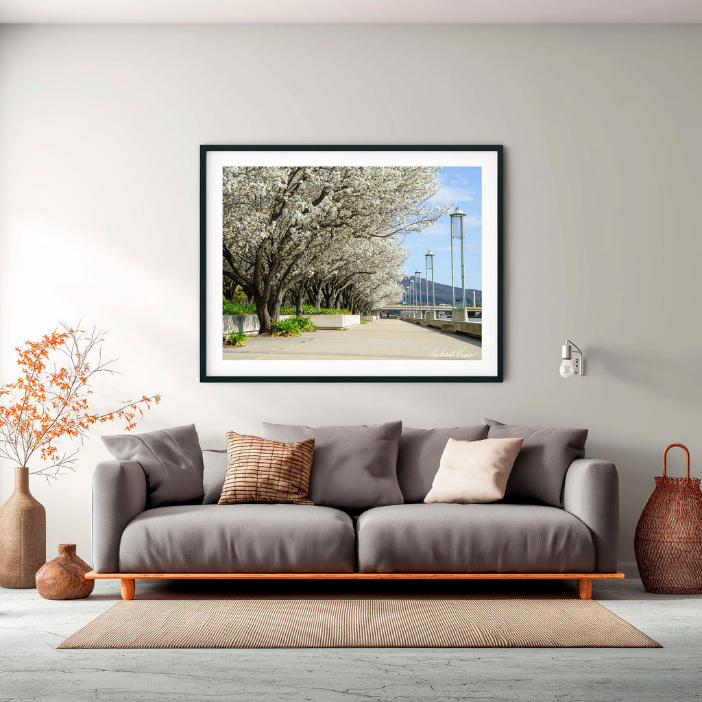 Blossoms Along the Lake – Limited Edition Framed Art Print