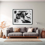 Winter Stream Elegance – Black and White Landscape Art Print by Robert Vine